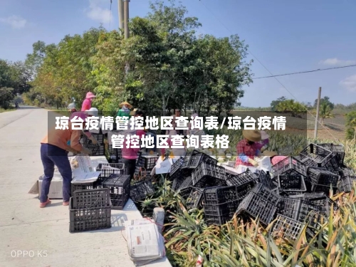 琼台疫情管控地区查询表/琼台疫情管控地区查询表格-第3张图片